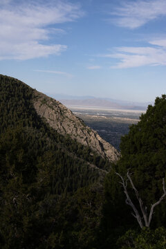 Scenic View of Forested Taylor Canyon and Wasatch Mountain Ridgelines from the Hidden Valley Loop Trail Above Ogden Utah on a Clear Summer Morning
