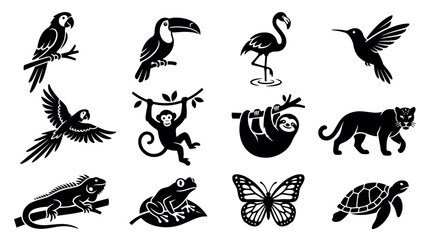 Fototapeta premium Tropical rainforest animals and birds black glyph vector icon set