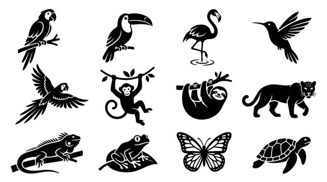 Tropical rainforest animals and birds black glyph vector icon set