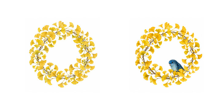 Set of Two Ginkgo Wreath Watercolor Illustrations Isolated on White Background
銀杏のリース2点セット 
