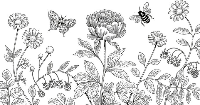 Hand drawn botanical illustration with flowers, butterfly and bee