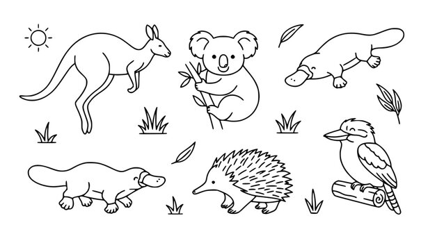 Australian outback animals and marsupials line art vector bundle banner