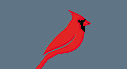 Red cardinal bird illustration profile on blue background.