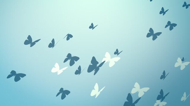 butterflies on a blue background
butterflies and flowers