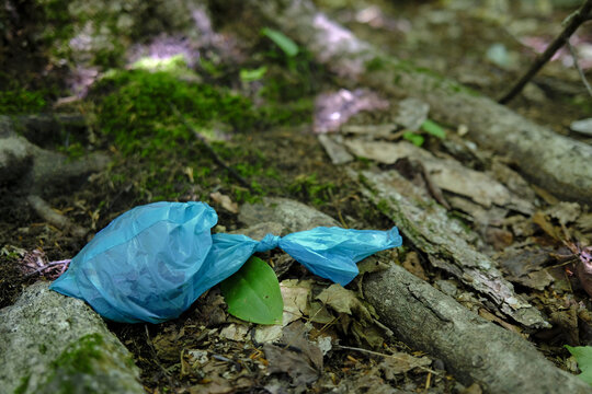 Sac en plastique au sol dans la for&ecirc;t. Concept de pollution plastique. Pollution de l'environnement. Pollution environnementale caus&eacute;e par un sac de d&eacute;jections canines abandonn&eacute; pr&egrave;s d'un arbre en for