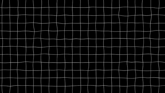 Black grid lines on white paper motion background. Minimalist grey grid line animation with smooth directional lines,
Animated background grid with twinkling thin crosses.