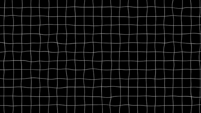 Black grid lines on white paper motion background. Minimalist grey grid line animation with smooth directional lines,
Animated background grid with twinkling thin crosses.