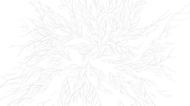 Abstract Organic Branch Pattern in Minimalist White Line Art