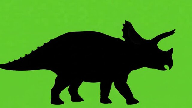 Triceratops walking steadily silhouette video