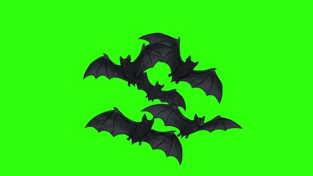 Dynamic 3D VFX model of a flock of black bats flying together, isolated on a bright green screen chroma key background. Great for Halloween video compositing, spooky horror movie overlays, vampire sce