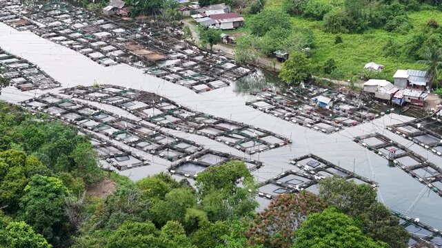 Aerial view of fish ponds on the riverbank, water flowing from the Riam Kanan reservoir