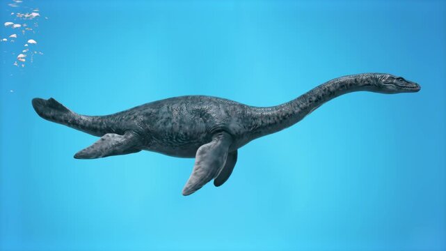 A detailed 3D model of an extinct Plesiosaurus marine reptile gliding gracefully, set against a bright cyan underwater studio backdrop. Designed for ocean paleontology visuals, prehistoric marine life