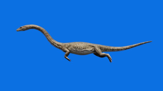 A detailed 3D model of a prehistoric Plesiosaurus marine reptile with long neck and flippers swimming horizontally, set against a solid blue sky backdrop. Great for natural history documentaries, pale