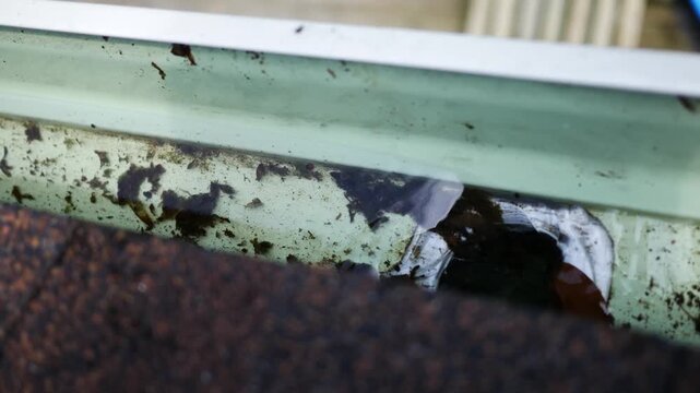 Water Flowing into Gutter Downspot on Residential Home