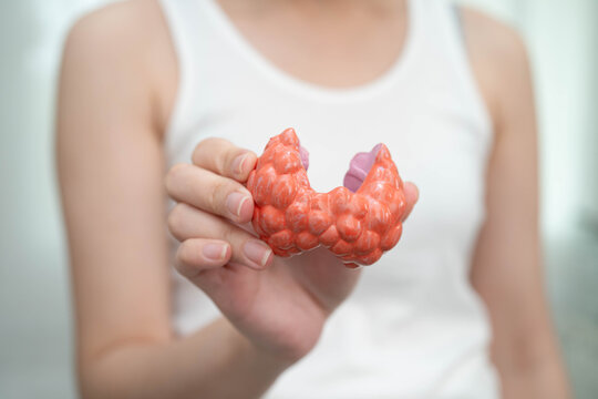 Hyperthyroidism, Overactive Thyroid, Thyroid Lymphoma, Asian woman with thyroid gland human anatomy model.
