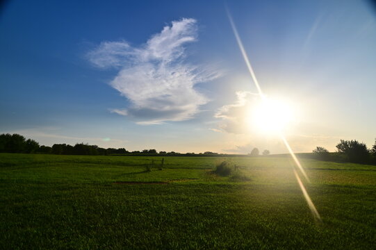 Sunny Clouds