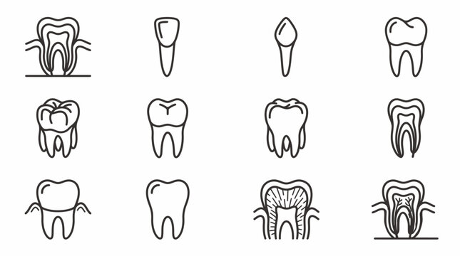 Set of line art dental icons featuring tooth anatomy and dental structures.