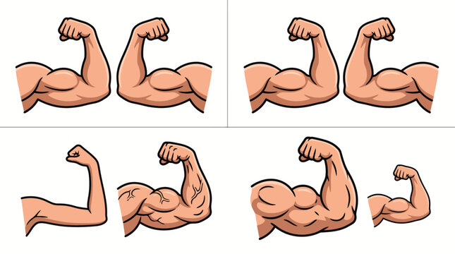 Set of human muscular arms showing biceps in various sizes and poses.