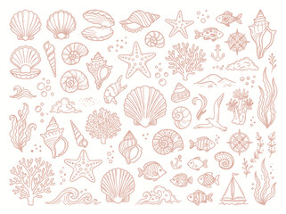 Oceanic Shells and Marine Life Doodle Collection. © MR.HAY