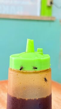 Houseflies crawling on green condiment bottle in a restaurant