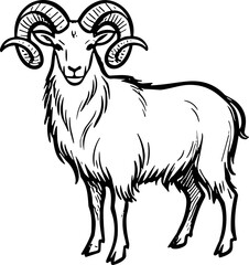 Black and white hand drawn illustration of a majestic ram with curled horns. © jenci