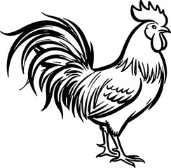 Detailed black and white line art illustration of a proud rooster. © Inova
