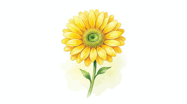 Vibrant Yellow Sunflower Illustration with Green Stem and Leaves on White Background, Botanical Art for Summer and Nature Themes