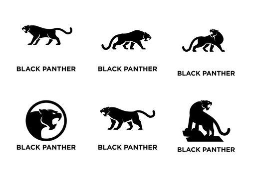 Black Panther Logo Design Collection: Fierce Wildcat Icon Set for Branding, Sports, and Modern Identity
