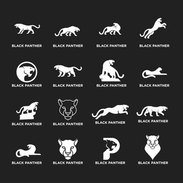 Black Panther Logos Set Vector Design. Collection of powerful big cat icons, roaring, jumping, running, and headshots, suitable for branding, mascots, and sports teams.