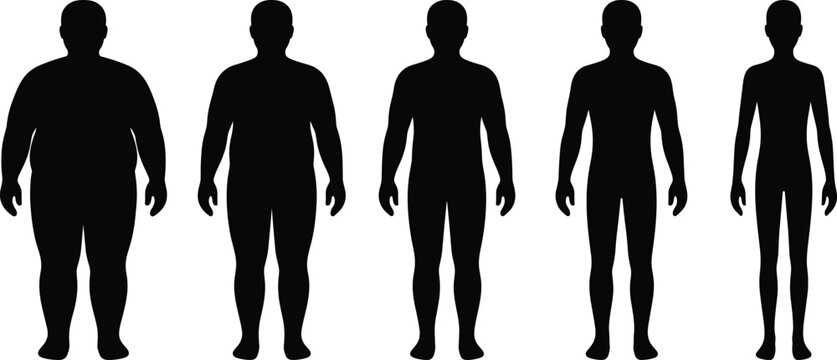 Human Body Silhouette Evolution Set with Different Body Types Male Figure Vector Collection