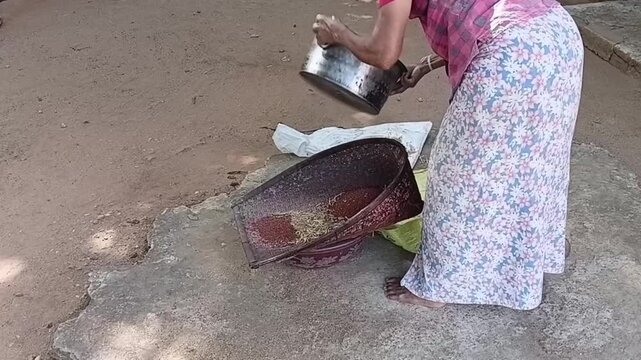 Wide Shot of Elderly Sri Lankan Grandmother Starting Traditional Finger Millet Cleaning with Kulla
