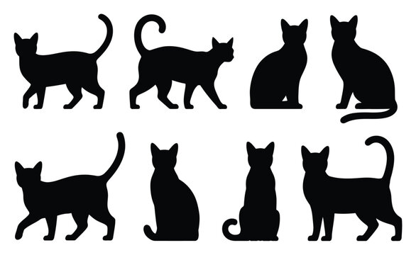 Colecci&oacute;n de siluetas de gatos negros en diversas poses y posiciones