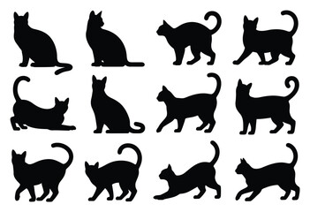 Obraz premium Colección de doce siluetas de gatos negros en diversas poses