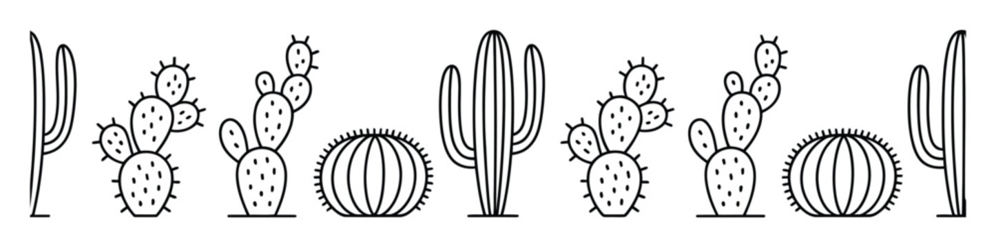 Colecci&oacute;n de diversas plantas de cactus en estilo lineal sencillo