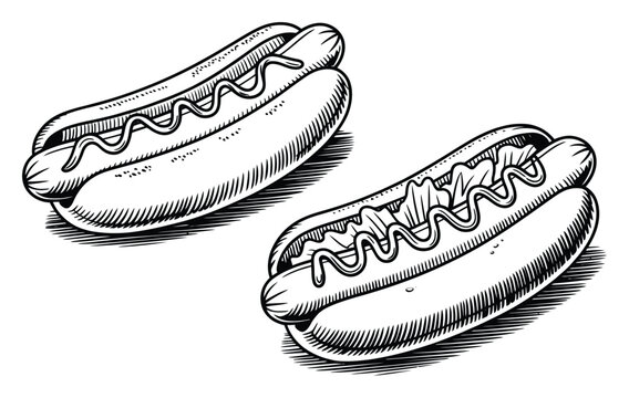 Ilustraci&oacute;n dibujada a mano de dos deliciosos perritos calientes con mostaza