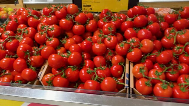 Fresh Tomatoes and Apples in a Blue Mountains Supermarket
