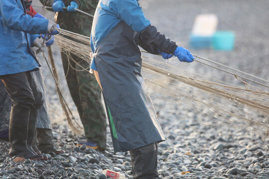 	海岸から網を引く漁師