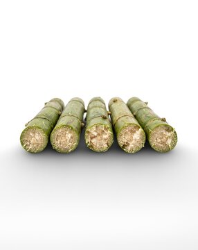 Fresh Sugarcane Stalks Cut into Pieces Isolated on White Background