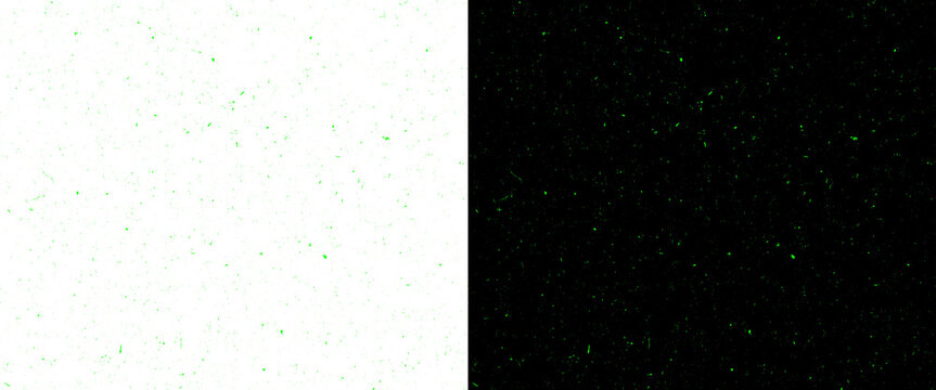 Minimalist split screen background with grainy texture, black and white dual tone contrast surface, abstract monochromatic paper texture