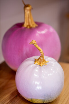 Decorative pumpkins. Fall composition. Round gourds in soft purple color for seasonal home atmosphere on wooden table.