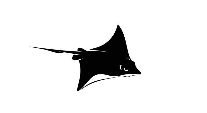 Black silhouette of a manta ray swimming with against white background sea creature wildlife marine animal nature ocean fish