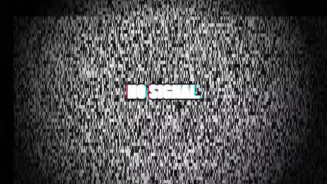 No signal text with digital glitch effect on static television screen