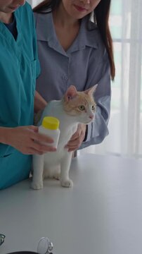 Veterinarian consulting medicine
 that using with cat