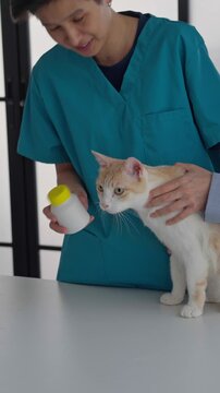 Veterinarian consulting medicine
 that using with cat