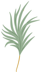 Fototapeta premium Minimalist Green Botanical Leaf Illustration Design Element