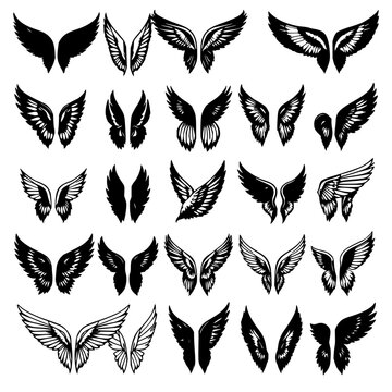 Wing set with 24 distinct black and white stylized wing illustrations arranged in a 4x6 grid with crisp line work featuring vector, modern, minimalist with contrast and clarity