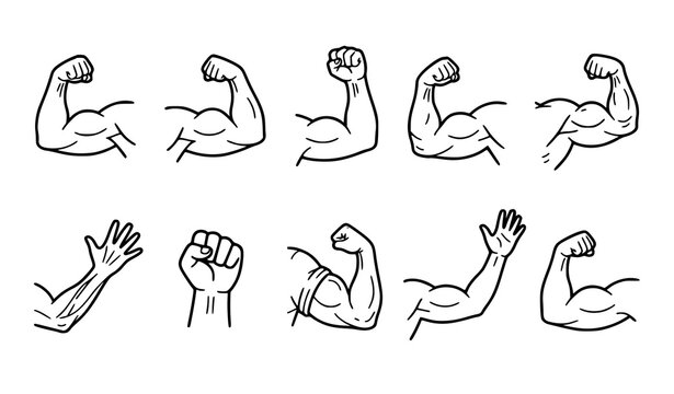 Muscular Arm Flexing Bicep Icon Set Strength Fitness Line Art Vector Illustration On White Background