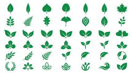 Fototapeta premium Green leaf and botanical plant icons.