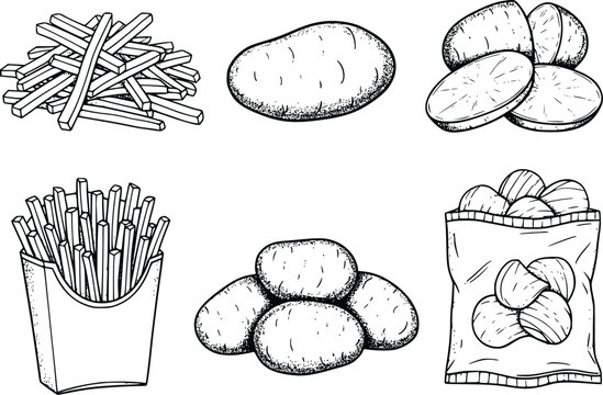 Hand drawn collection of potatoes and potato products like fries and chips