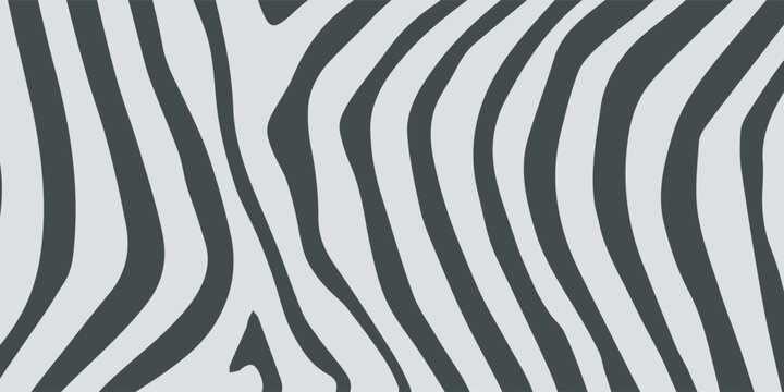 Abstract Zebra Stripe Pattern Background.